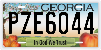 GA license plate PZE6044