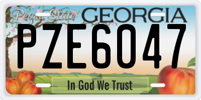 GA license plate PZE6047