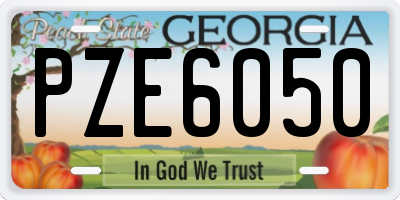 GA license plate PZE6050