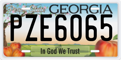 GA license plate PZE6065