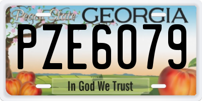 GA license plate PZE6079