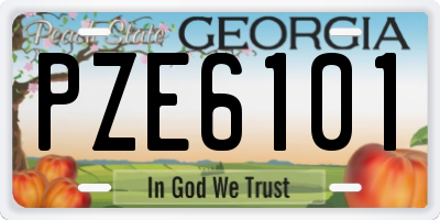 GA license plate PZE6101