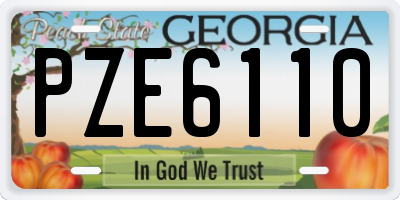 GA license plate PZE6110