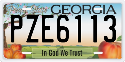 GA license plate PZE6113