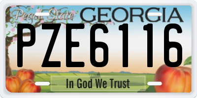 GA license plate PZE6116