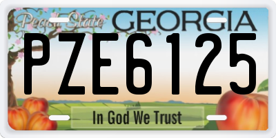 GA license plate PZE6125