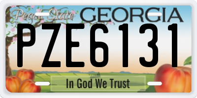 GA license plate PZE6131