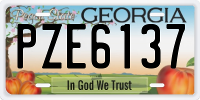 GA license plate PZE6137