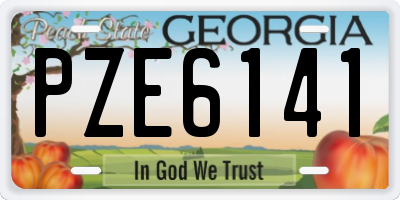 GA license plate PZE6141