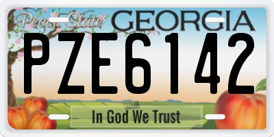 GA license plate PZE6142