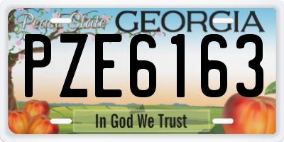 GA license plate PZE6163