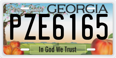 GA license plate PZE6165
