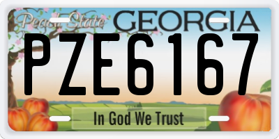 GA license plate PZE6167