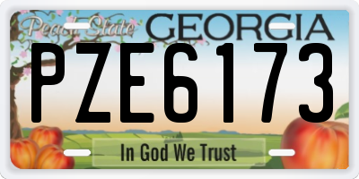 GA license plate PZE6173