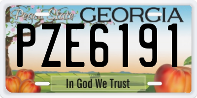 GA license plate PZE6191