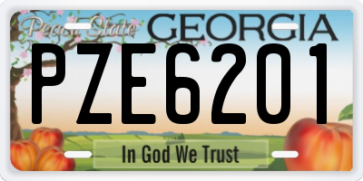 GA license plate PZE6201