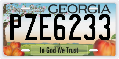 GA license plate PZE6233