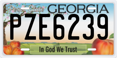 GA license plate PZE6239