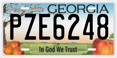GA license plate PZE6248