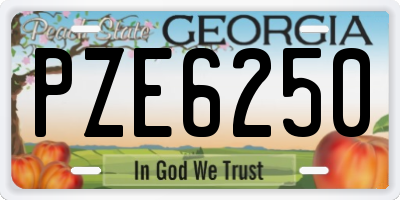 GA license plate PZE6250