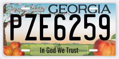 GA license plate PZE6259