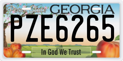 GA license plate PZE6265