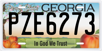 GA license plate PZE6273
