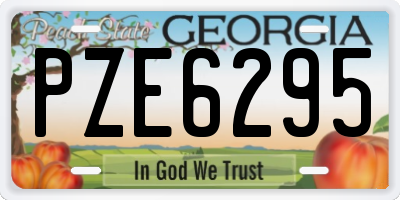 GA license plate PZE6295