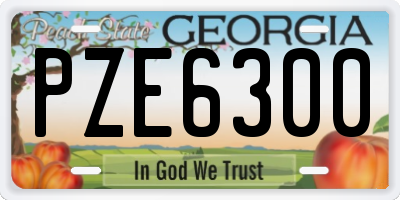 GA license plate PZE6300