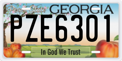 GA license plate PZE6301