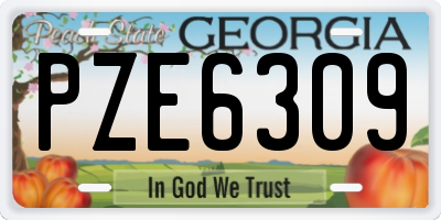 GA license plate PZE6309