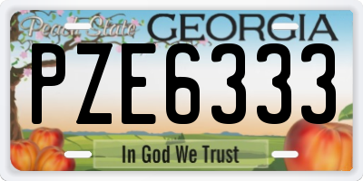 GA license plate PZE6333