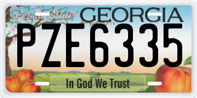 GA license plate PZE6335