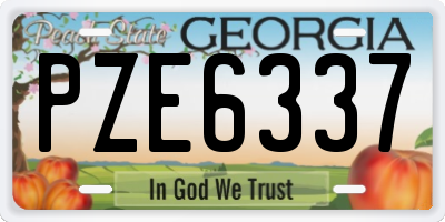 GA license plate PZE6337
