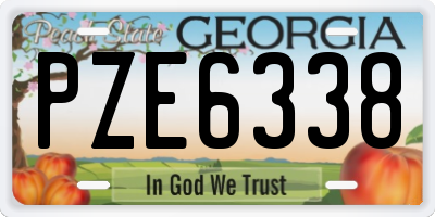 GA license plate PZE6338