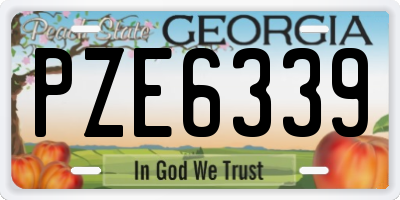 GA license plate PZE6339