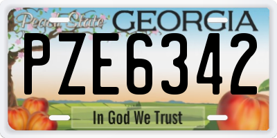 GA license plate PZE6342