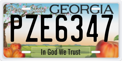 GA license plate PZE6347