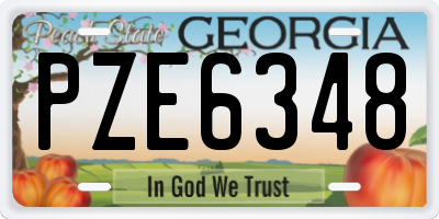 GA license plate PZE6348