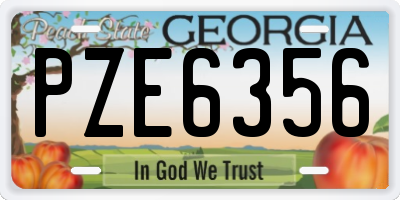 GA license plate PZE6356