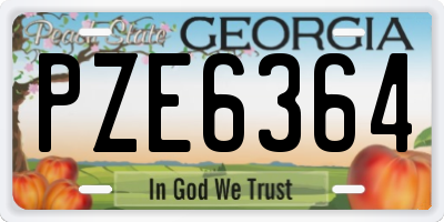 GA license plate PZE6364