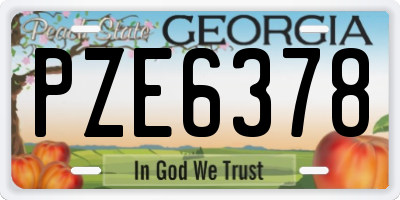 GA license plate PZE6378
