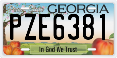 GA license plate PZE6381