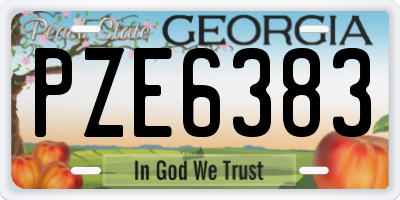 GA license plate PZE6383