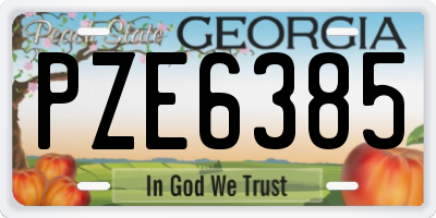 GA license plate PZE6385