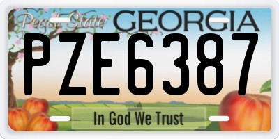 GA license plate PZE6387