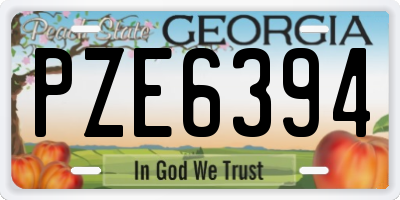 GA license plate PZE6394