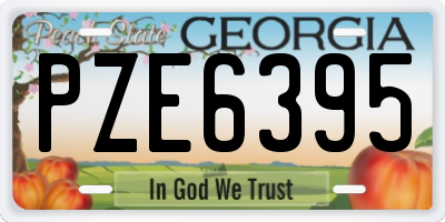 GA license plate PZE6395