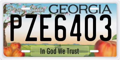 GA license plate PZE6403