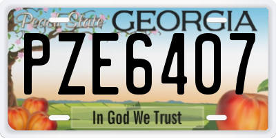 GA license plate PZE6407